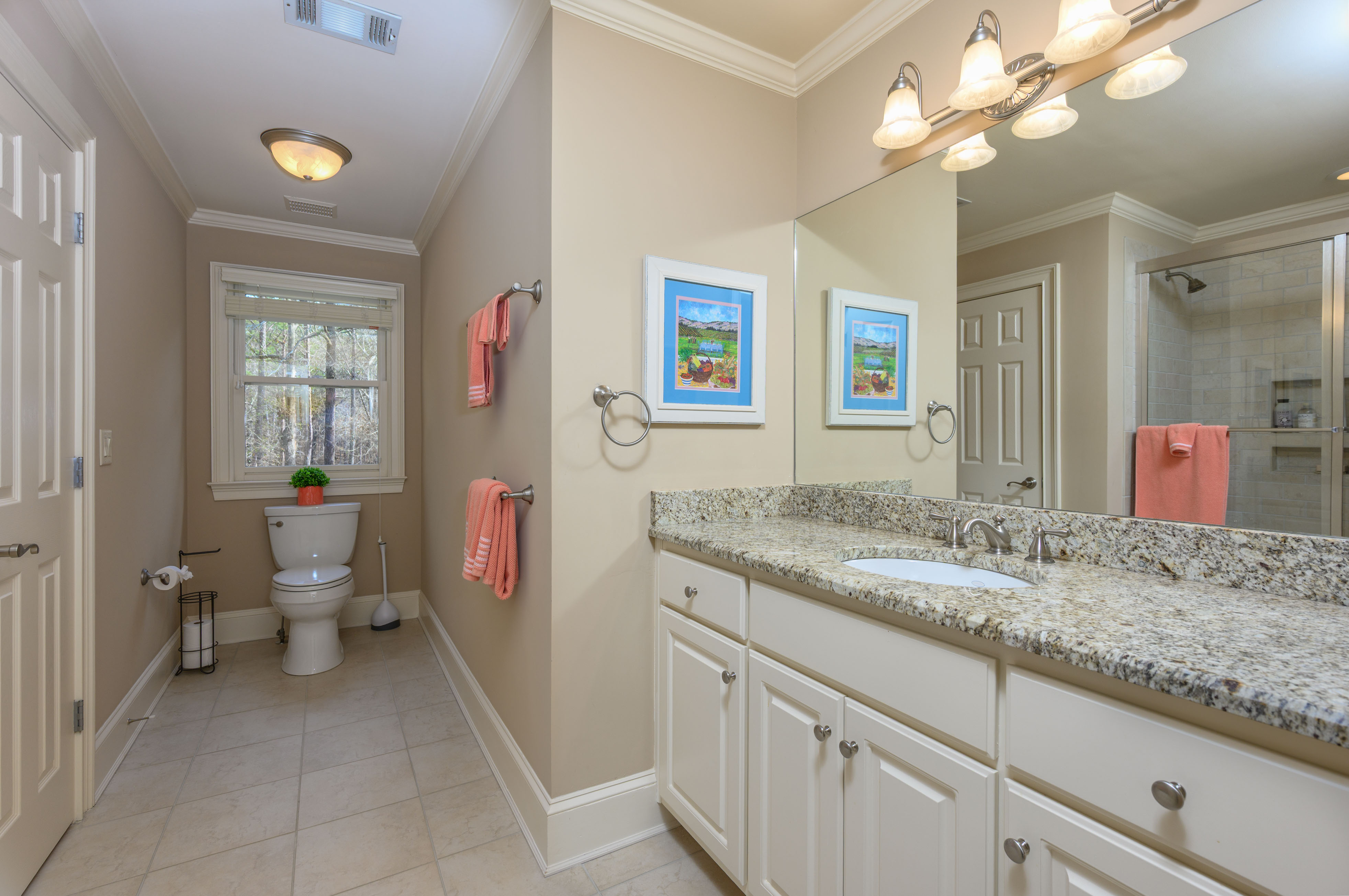 1151 Wrayswood Circle image 20